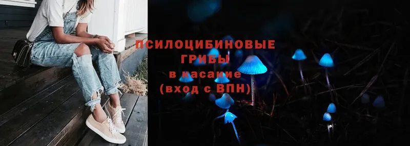 Галлюциногенные грибы Psilocybe  нарко площадка как зайти  Советский 